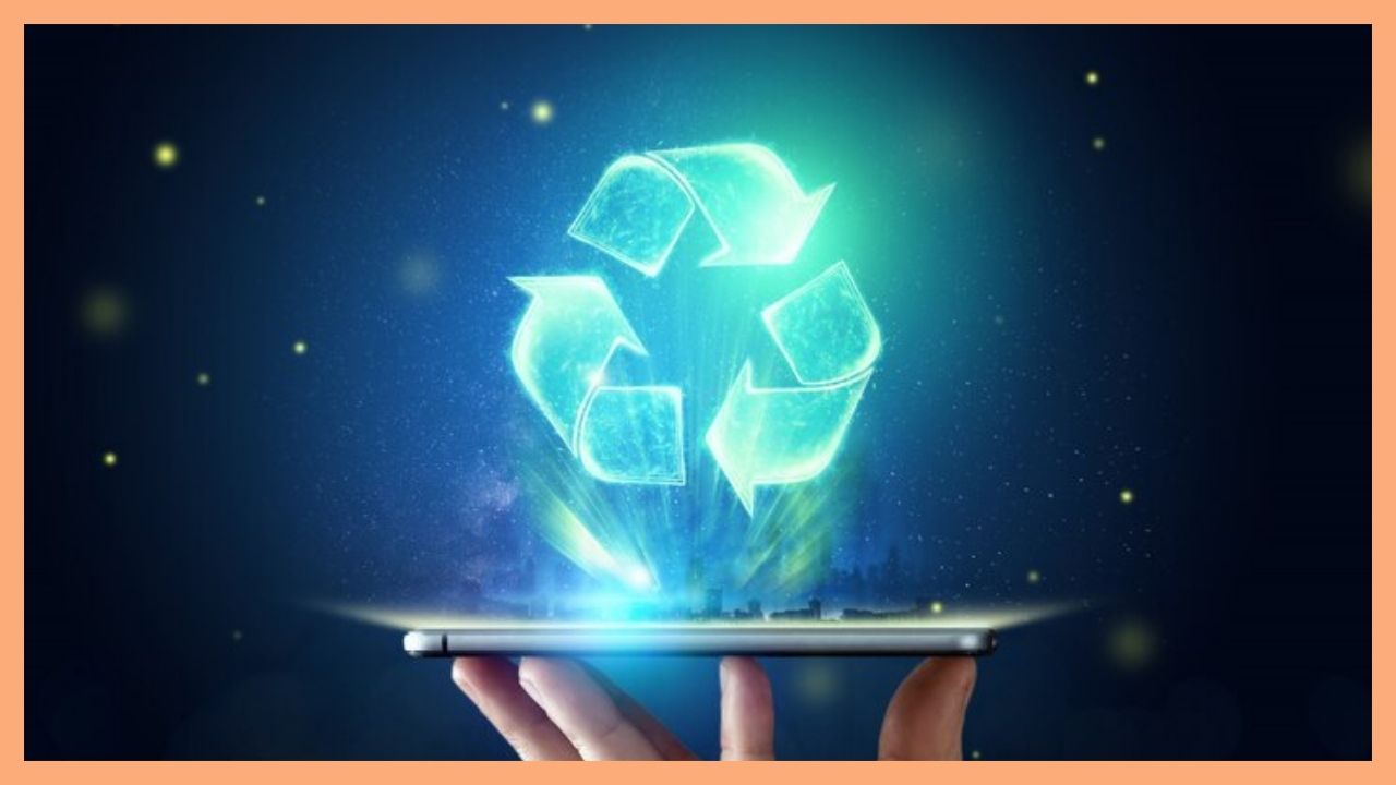 Professional Support in Digital Transformation